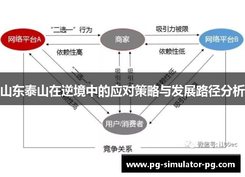 山东泰山在逆境中的应对策略与发展路径分析
