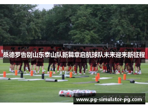 桑德罗告别山东泰山队新篇章启航球队未来迎来新征程