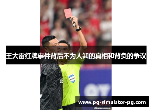 王大雷红牌事件背后不为人知的真相和背负的争议
