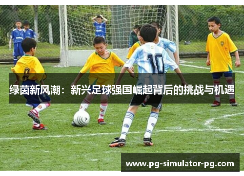 绿茵新风潮:新兴足球强国崛起背后的挑战与机遇 绿茵新风潮:新兴足球强国崛起背后的挑战与机遇
