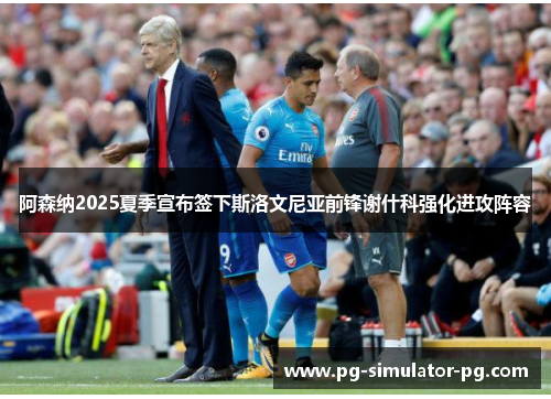 阿森纳2025夏季宣布签下斯洛文尼亚前锋谢什科强化进攻阵容